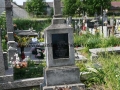 _mini-P1150140.JPG