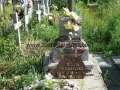 _mini-P1150144.JPG