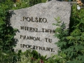 _mini-P1150154.JPG