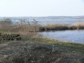 _mini-P1330475