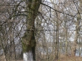 _mini-P1330483