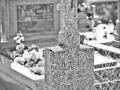 cm_tuch-1.jpg