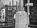 cm_tuch-15.jpg