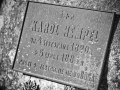 cm_tuch-25.jpg