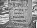 cm_tuch-8.jpg