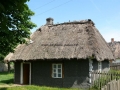 _mini-P1150182.JPG