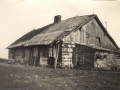 aaaostatni czworak 1971