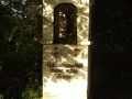 zgórznica1.jpg