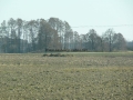 _mini-P1330559.JPG