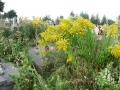 GrĂłb_wuja_Stacha_IMG_2148.JPG