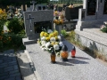 _mini-2008_0730_161427.JPG