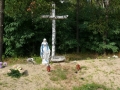 _mini-2008_0730_160648.JPG