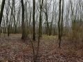 IMG_20200201_114338
