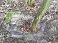 IMG_20200201_114555