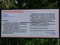 _mini-P1250484.JPG