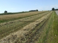 _mini-2008_0728_161418.JPG