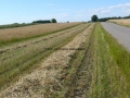 _mini-2008_0728_161451.JPG