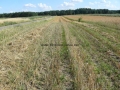 _mini-2008_0728_161506.JPG