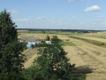 _mini-2008_0728_172200.JPG
