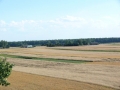 _mini-2008_0728_172313.JPG