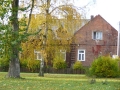 _mini-P1310141