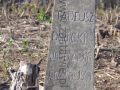 IMGP7513