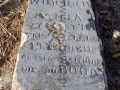 IMGP7514