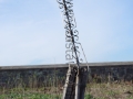 IMGP7519