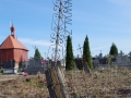 IMGP7520