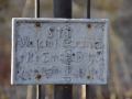 IMGP7524