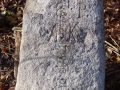 IMGP7527
