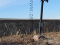IMGP7547