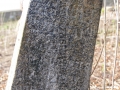 IMGP7550