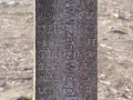 IMGP7552