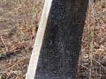 IMGP7556