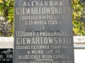 _mini-P1320290.JPG