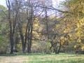 noweIMG_4675