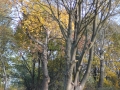 noweIMG_4676