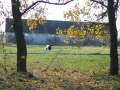 noweIMG_4677