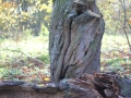 noweIMG_4678
