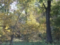 noweIMG_4679