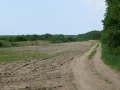 P1110645.JPG