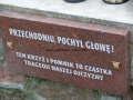 _mini-P1250189.JPG