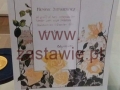received_868507499920553 (Kopiowanie)