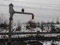 20171205_122544
