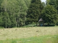 _mini-P1250496.JPG