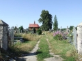_mini-2008_0730_091124.JPG