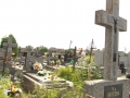 DSCF3328.JPG
