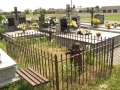 DSCF3332.JPG