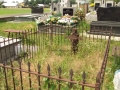DSCF3333.JPG